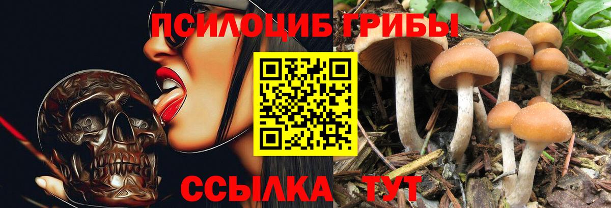 Псилоцибиновые грибы мухоморы  Вход с VPN  Богданович 